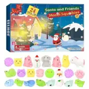 Advent Calendar Fidget Pop Set 24 Days Christmas Countdown Sensory Calendar New