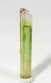 30.7 mm BI-COLOURED, TERMINATED ELBAITE TOURMALINE CRYSTAL, AFGHANISTAN