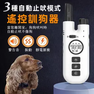 台灣現貨🔥程控制訓狗器  大中小型犬訓犬器止吠器 防狗叫 電擊項圈 電擊器  狗項圈 防叫項圈 止吠項圈 寵物項圈