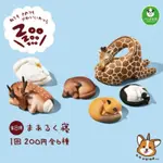 休眠動物園 睡眠動物 ZOOZOOZOO 鵝