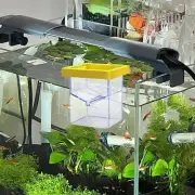 Aquarium Breeder Box Floating Acrylic Tank Hatching Incubator