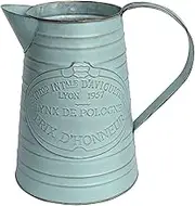 (Rustic One) - APSOONSELL Shabby Chic Metal Jug Vase Pitcher Flower Holder for Home Decoration