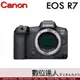 4/1-5/31 註冊送LPE6NH電池公司貨 Canon EOS R7 單機身 / EOSR系統 APS-C 無反光鏡相機