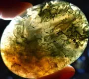 Green Moss Agate Soap-Shaped Palm Stone #2