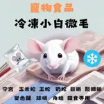 🔺限量優惠🔺❄️冷凍小白鼠微毛❄️🐶野村寵物🐱守宮玉米蛇王蛇奶蛇巨蜥鬆獅蜥變色龍球蟒角蛙杜比亞紅蟑蟋蟀大麥蟲麵包蟲餌料