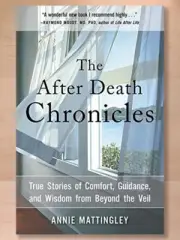 The after Death Chronicles: True Stories of Comfort, Guidance, and Wisdom....