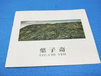 在飛比找Yahoo!奇摩拍賣優惠-銅板舊冊 葉子奇 個展 走過風景的心情 1988~1996 