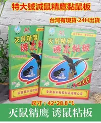 在飛比找Yahoo!奇摩拍賣優惠-超大規格家用超強力黏鼠板~粘鼠板【台灣24H出貨】黏鼠膠~驅