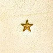 Craft Sha Leathercraft Tool 4x4mm Z610 Small Textured Star Custom Leather Stamp