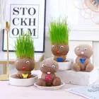 Room Decor Home Decoration Small Growing Grass Head Doll Plant Beautiful GiXA
