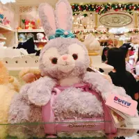 在飛比找蝦皮購物優惠-「現貨」 香港迪士尼 史黛拉 史黛拉兔 捲毯 毛毯 冷氣毯 