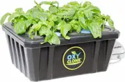 Hydrofarm OX20SYS OxyClone Recirculating Cloning System - Quantity 1