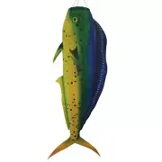 Dorado 48" Fish Windsock Windsock