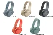 SONY WH-H900N Wireless Noise Canceling Stereo Headset Bluetooth Hands-free call