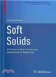 Soft Solids ― A Primer to the Theoretical Mechanics of Materials