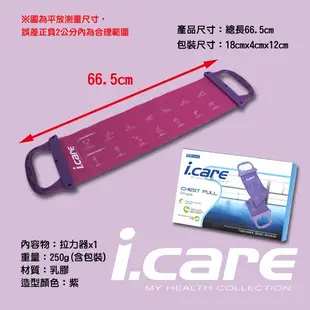 JOEREX I.CARE艾可兒 健美拉力器/擴胸器/彈力器/瑜珈用品-AJBG10616