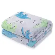 Dinosaur Blanket for , Glow in the Dark Blanket for Kids, Toddler1302