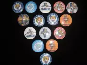Florida Panthers buttons flat backs or pin badges cabochons embellishment magnet