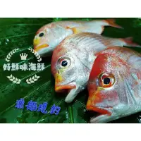 在飛比找蝦皮購物優惠-【好鮮味】基隆漁船現釣“赤鯮魚”，鮮甜美味，直接三去後真空包