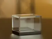 Vision Box 2.0 By Joao Miranda Magic Tricks Card Magic and Trick Decks Close up