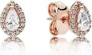 Ear Studs 925 Silver Earring Rose Radiant Teardrop Lioness and Heart Droplets Earring Studs for Women Jewelry Ear Stud (Size : 1)