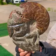 2.06LB Rare! Natural Tentacle Ammonite FossilSpecimen Shell Healing Madagascar