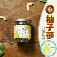 在飛比找樂天市場購物網優惠-【麻豆農會】柚子蔘-小-110g-罐 (2罐組)