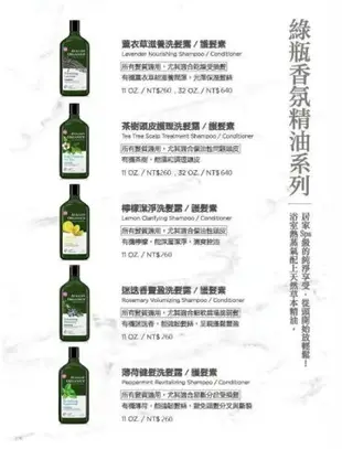 AVALON 精油洗髮精 325ML 薰衣草/茶樹/檸檬/薄荷/迷迭香 新包裝◐香水綁馬尾◐