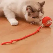 Automatic Cat Toy Electric Cat Toy Ball Cat Puzzle Toy, Cat Balls