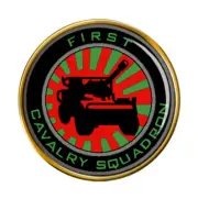 1st Cavalry Squadron (Irish Army) Pin Badge