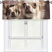 LHBWCVN Cute Chihuahua Valances for Windows, Rod Pocket Window Treatment Drapes Farmhouse Kitchen Curtains Short Blackout Window Curtains for Living Room Bedroom Decor 54x18 Inch
