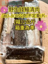 在飛比找Yahoo!奇摩拍賣優惠-野生錢鰻清肉500~800公克(不定重)片-1箱12公斤免運