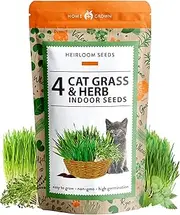 HGCAT6-Indoor Cat Grass