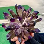 473G New Find purple PhantomQuartz Crystal Cluster MineralSpecimen
