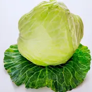 Cabbage - Late Flat Dutch seeds