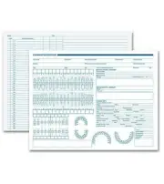 Dental Exam Record, Primary Arch & Geometric Diagrams / Nebs Deluxe No. 21023