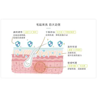 【毛起來】癢癢退散洗毛精 貓貓專用(現貨 寵物專用沐浴乳 低敏洗毛精 天然草本 溫和清潔 搔癢肌適用 改善體味)