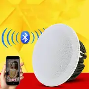 Wireless Bluetooth Speaker In-Ceiling Speaker build in Amplifier Home Speaker