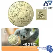 2021 UNC $1 MOB OF ROOS KOALA PRIVY MARK BRISBANE ANDA COIN ON CARD