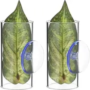 Toyvian 2 Pcs Betta Fish Acrylic Tunnel, Clear Betta Fish Leaf Pad with Cup - Simulating The Natural Habitat Toys- Small Aquarium Decor for Aquarium Decoration(3.14X1.57in)