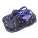 Crocs 涼拖鞋 Classic Butterfly Clog 男鞋 女鞋 蝴蝶 花紋 紫 卡駱馳 經典款 2082575Q7