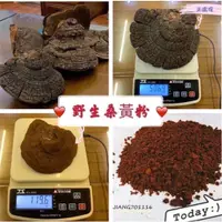 在飛比找蝦皮購物優惠-【百年永續極品野生桑黃 一公斤原料 1000公克】-4