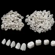 2 Packs Dental Temporary Crown Material For Anterior + Molar Teeth Veneers _yk