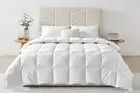 Matt Blatt 350GSM 100% Bamboo Quilt (Queen)