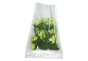 Z-Vac 50 X Vacuum Zipper Bags 20x30cm (ZipLock)