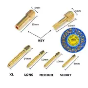 Dental Titanium Root Canal Pins 120 Posts & 2 Key Wrench Screw Post Gold plated