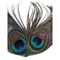 在飛比找蝦皮購物優惠-羽毛裝飾 天然孔雀羽毛 單獨孔雀眼睛舞臺髮飾裝飾DIY手工飾
