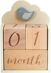 CoudarTitie Wooden Wooden Age Age Age Blocks, Including The Year of A Week of Week, for Portable Shows, Numbers of Numbers, Light Weight