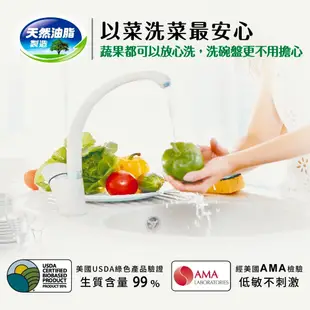 【南僑水晶】水晶肥皂食器洗滌液體皂洗碗精 800mlX8（加贈：極淨除臭洗衣液60gX3）
