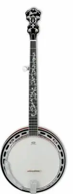 Ibanez B200 5-String Closed-Back Banjo Natural